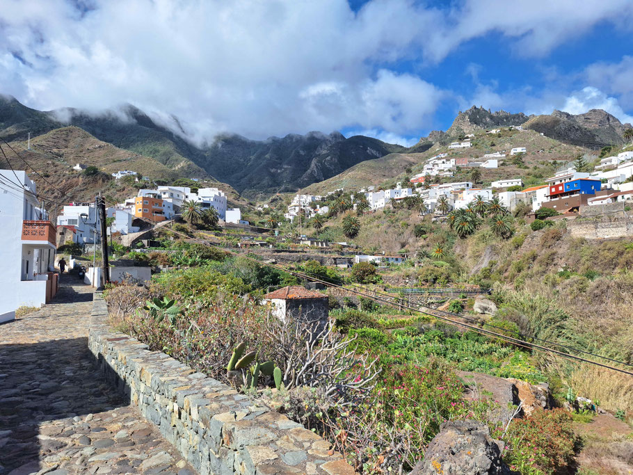 Tenerife : calle Casas del Camino menant à Playa Tachero via le quartier El Cardonal
