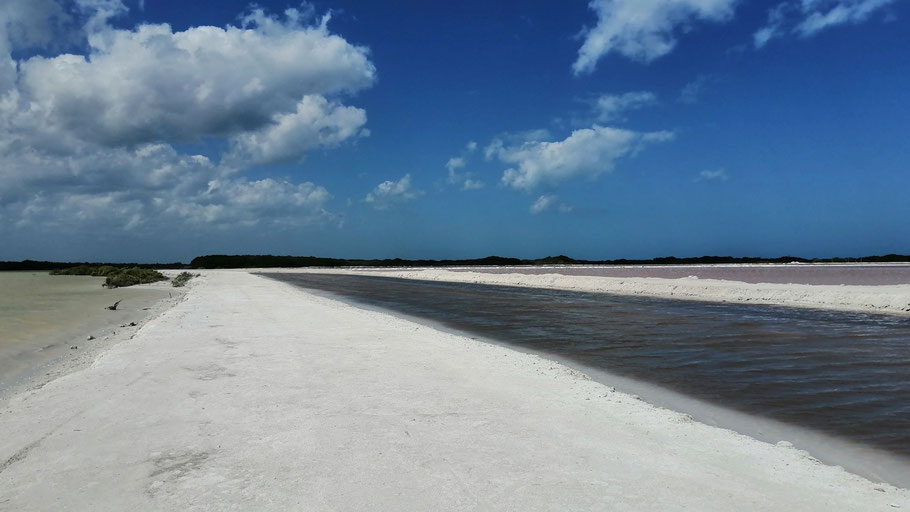 Mexique, Yucatan : lagune de Rio Lagartos, Las Coloradas