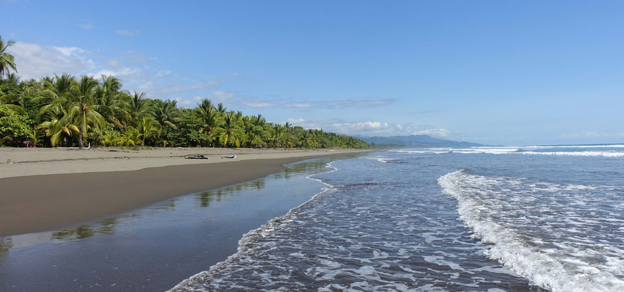 Costa Rica : l'immense et magnifique plage de Matapalo sur la côte pacifique sud, entre Quepos et Uvita
