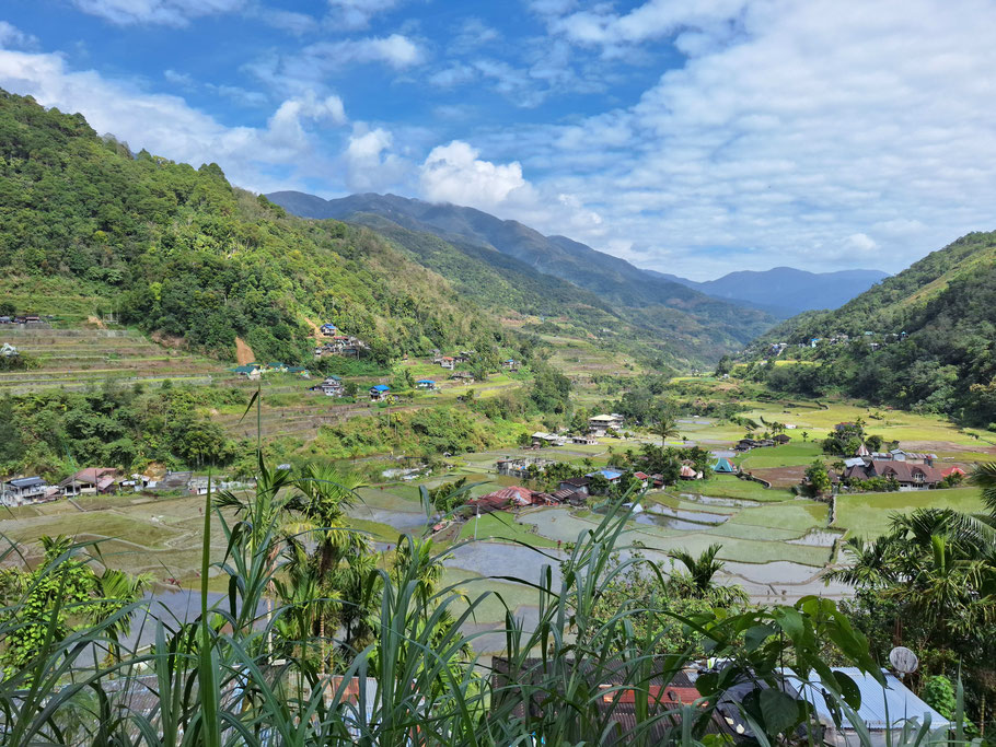 Philippines : Rizières d'Hapao (île de Luçon)