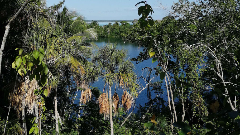 Mexique : le cénote Azul est séparé de la lagune de Bacalar par une mince bande de terre