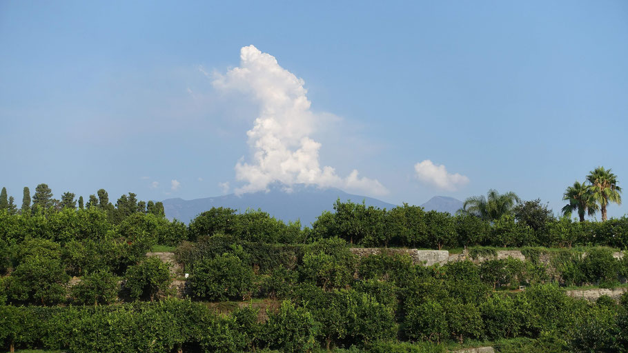 Sicile, Giarre : vue sur l'Etna de la location Holiday Homes Borgo Papardo