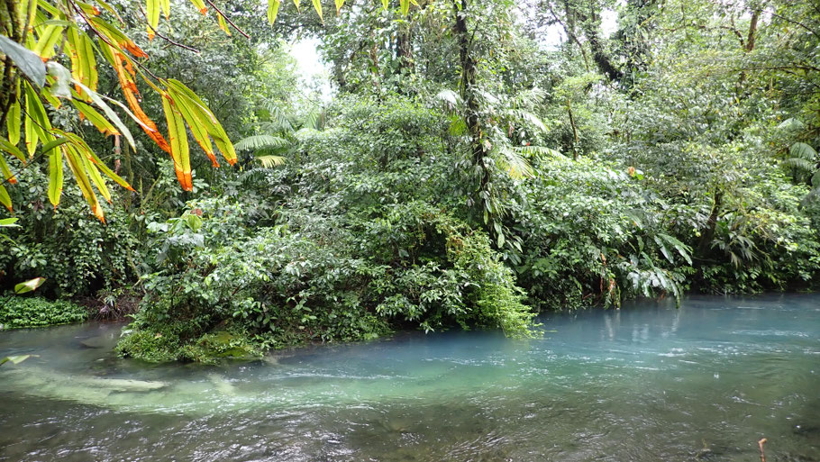 Costa Rica, parc Tenorio : Los Teñideros (Les Teinturiers), point exact où le rio prend sa couleur bleu turquoise