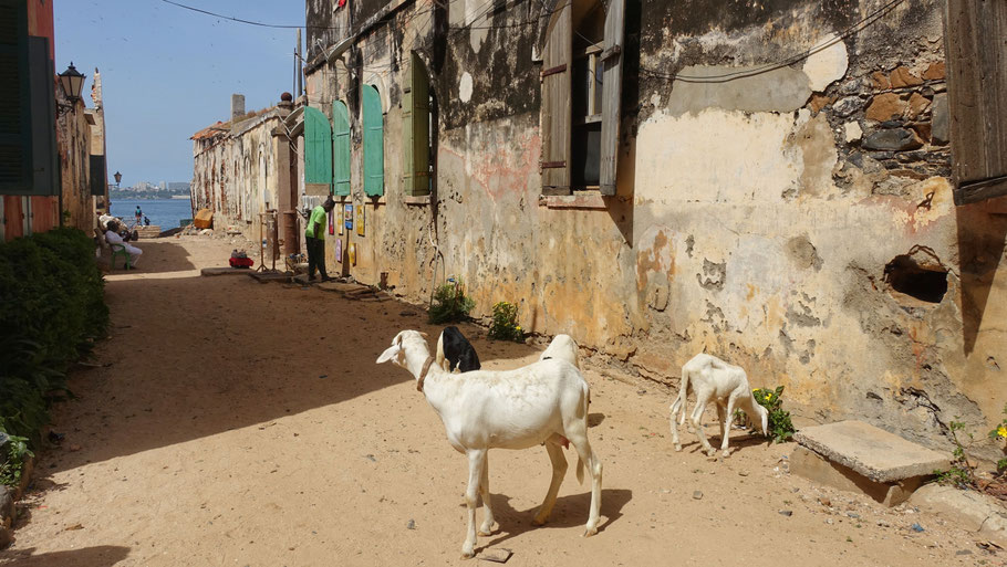 Sénégal, île de Gorée : au bout de la rue du Chevalier de Boufflers