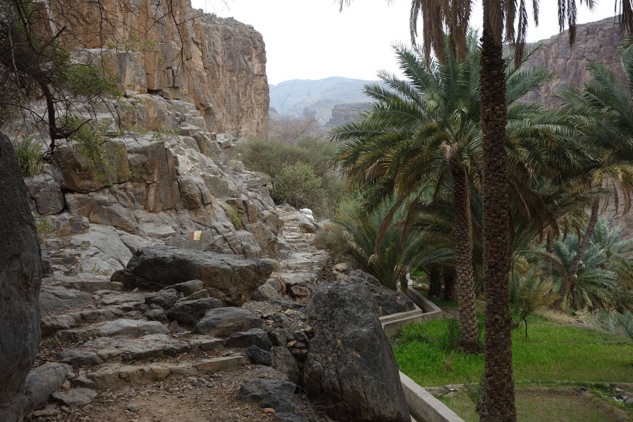 Oman, Misfah Al Abriyeen : sentier W9 le long du fajal après Rogan Castle