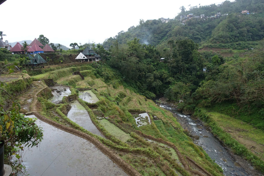 Vue du Bogah Lodge sur les rizières (Banaue)