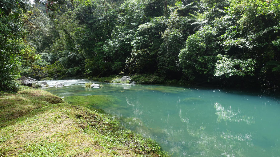  Costa Rica, parc Tenorio : Laguna Azul