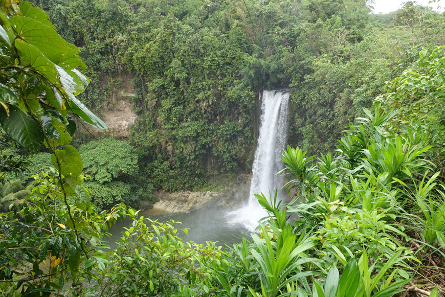 Philippines : Bohol, Camugao Falls
