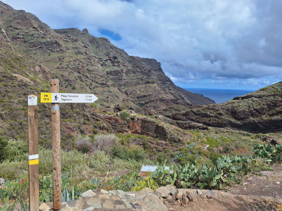 Canaries, Tenerife : départ du sentier de randonnée PR TF 8 Afur-Playa Tamadiste-Taganana