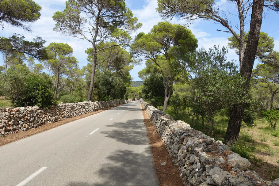 Minorque, route vers cala d'Algaiarens
