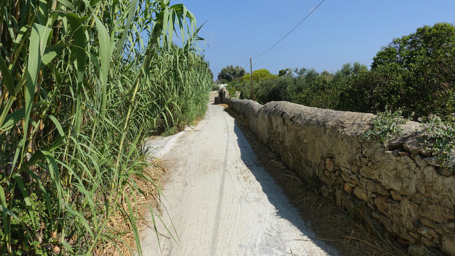 Grèce, Cyclades : Naxos, la petite route menant à la maison cycladique Chez Catherine à Engarès