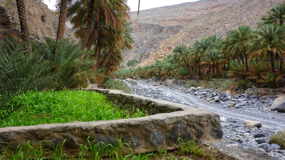 Oman, début de la piste du Wadi Ghul (Al Hajir)