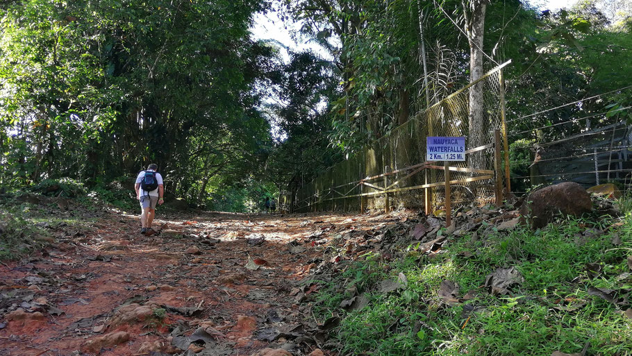 Costa Rica : sentier menant aux cascades de Nauyaca