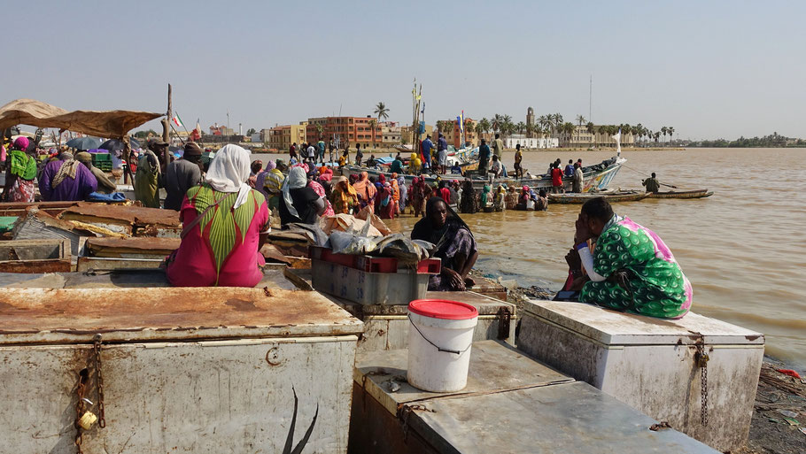 Port de pêche de Guet N'Dar au bord du fleuve Sénégal et, en arrière-plan, l'extrémité de l'île de Saint-Louis