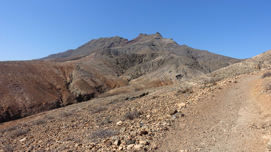 Fuerteventura : La Montaña del Cardón