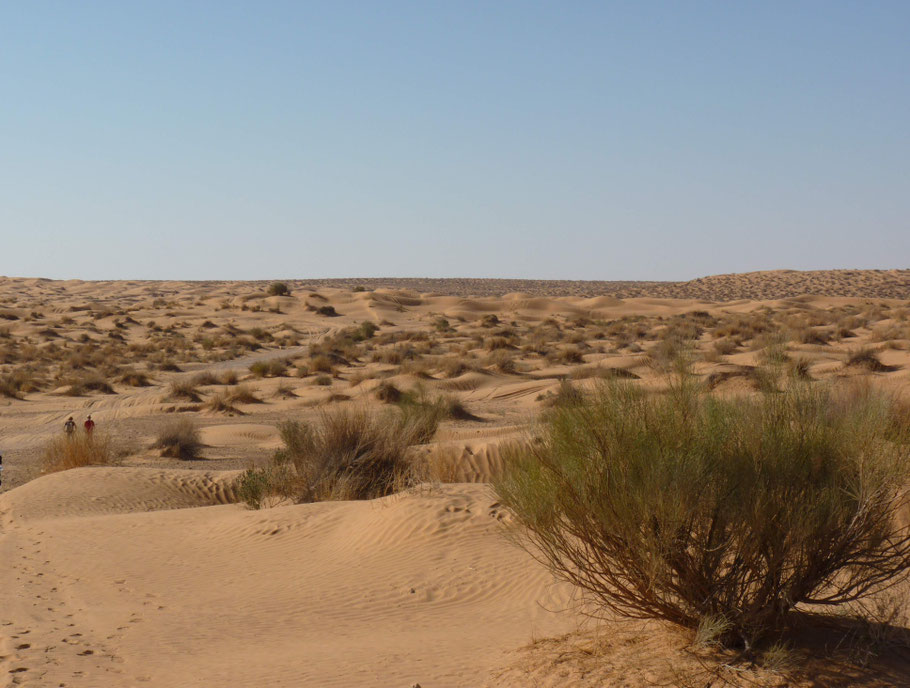 Tunisie : dunes de Ksar Guilane