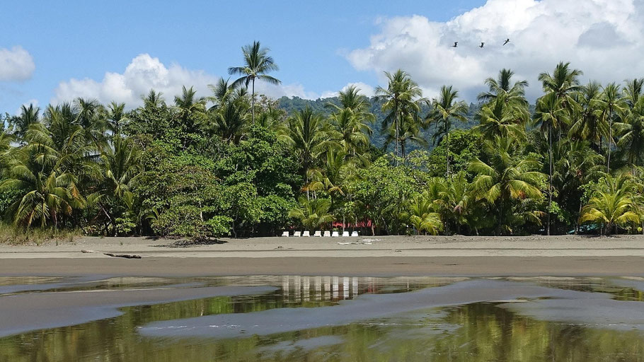 Costa Rica : la plage de Matapalo, long ruban de sable entre Pacifique et forêt tropicale