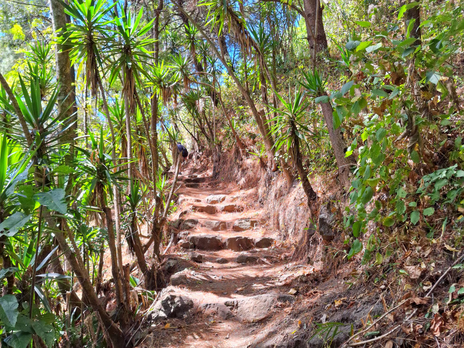 Guatemala, lac Atitlán : montée lors de la randonnée Santa Cruz-Tzununá