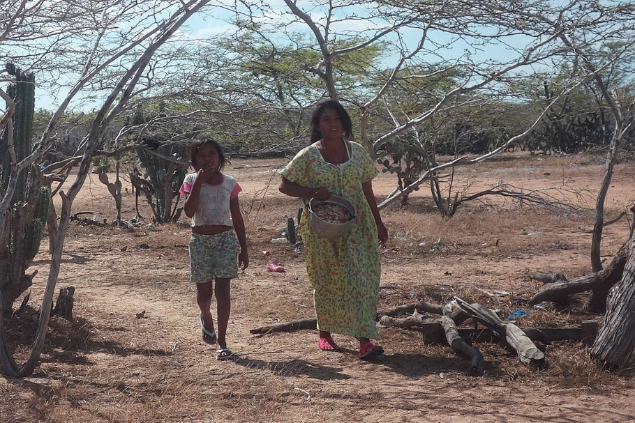 Colombie, la Guajira : vendeuses de crevettes