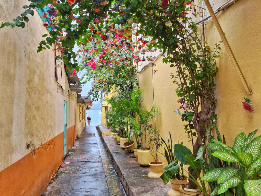 Guatemala, Petén Itzá : ruelle fleurie sur l'île Flores