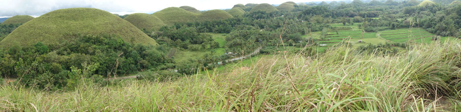 Bohol, Chocolate Hills, vue de la Mother's Hill