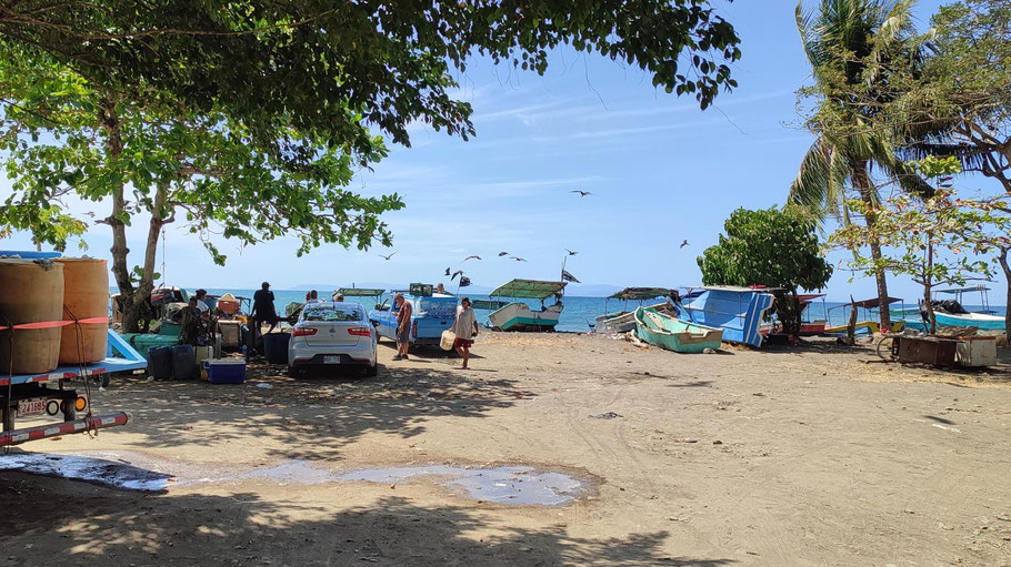 Costa Rica : puerto Tarcoles