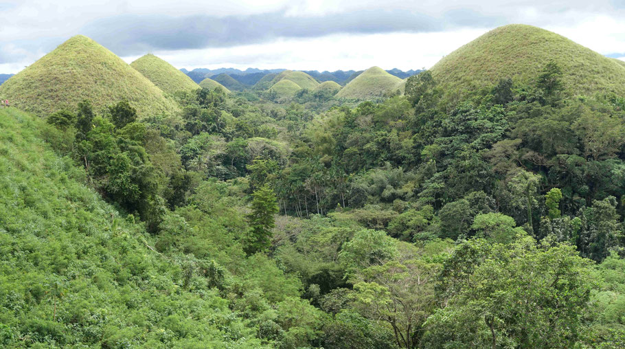 Les Chocolate Hills de Bohol
