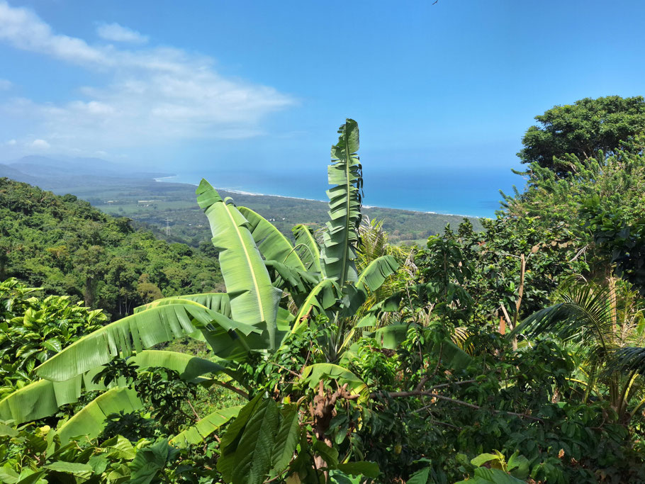 Colombie, Buritaca : magnifique vue de la finca Miramar sur la côte caraïbe avec au loin, le parc Tayrona