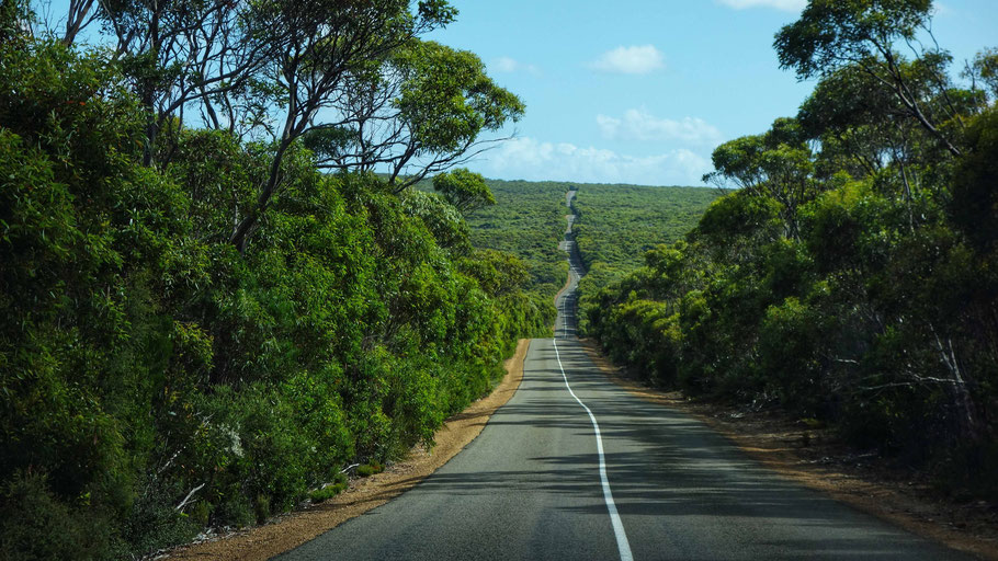 Australie, Kangaroo Island : route dans le Flinders Chase National Park