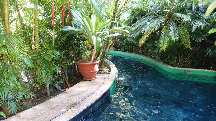 Costa Rica, La Fortuna : Paradise Hot Springs, les bassins sont entourés par un beau jardin tropical