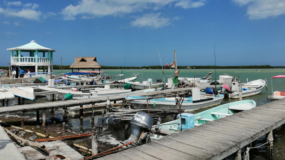 Mexique, Yucatan : lagune de Rio Lagartos