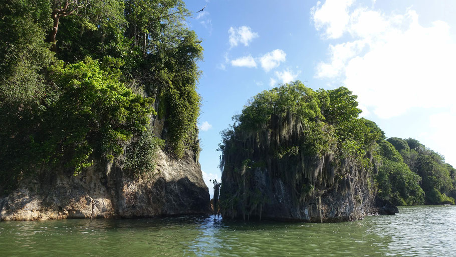 Parc de Los Haïtises : ces rochers vierges de toute présence humaine sont un sanctuaire pour les oiseaux tropicaux