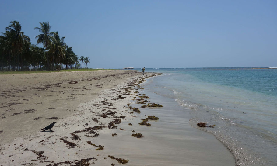 Sri Lanka : extrémité Nord de la plage de Passikudah