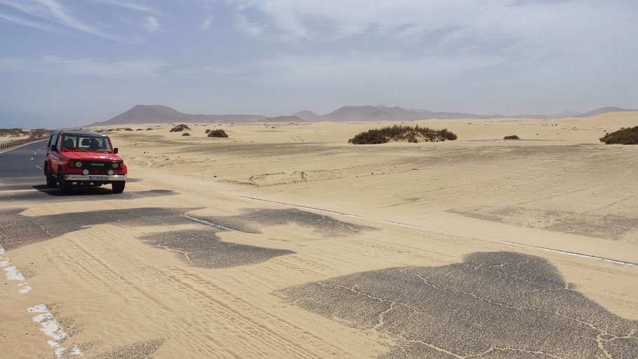 Canaries, Fuerteventura : route vers Corralejo
