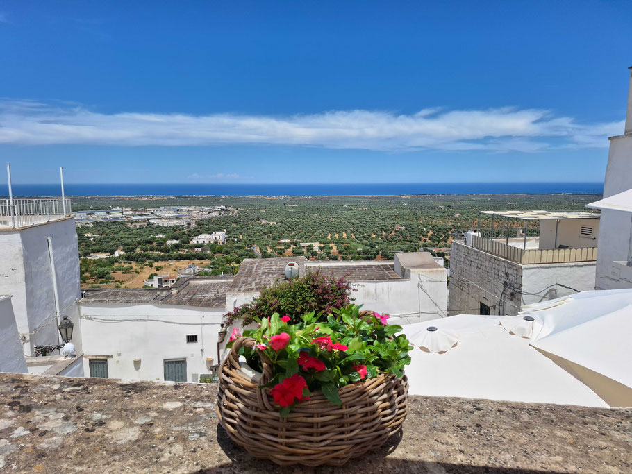 Panorama sur les oliveraies et la mer à Ostuni