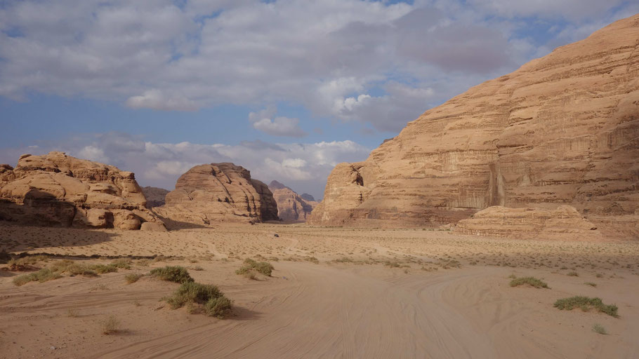 Le Wadi Rum, désert bien particulier, offre des paysages à couper le souffle et très variés grâce à ses nombreuses formations rocheuses