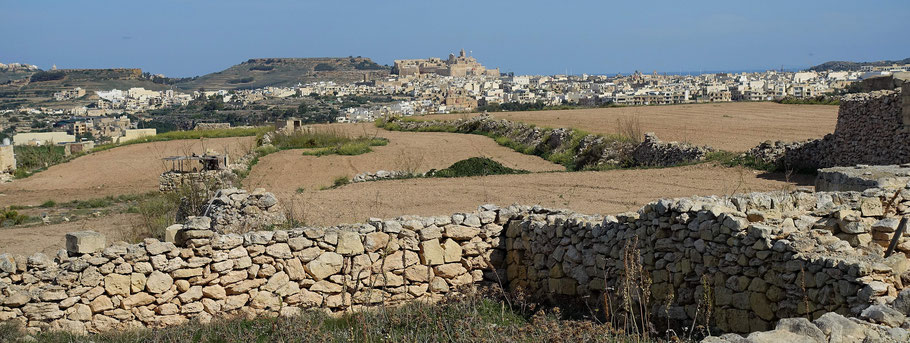 Malte : murs de pierres sèches à Gozo et citadelle de Victoria au loin