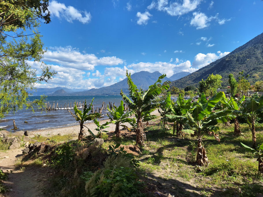 Guatemala, San Pedro La Laguna : lac Atitlán et volcan Tolimán