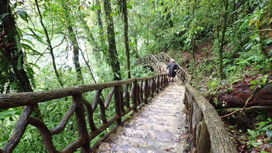  Costa Rica, parc Tenorio : marches, très raides, menant à la cascade du rio Celeste