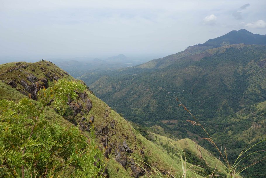 Sri Lanka, Ella : panorama du Little Adam's Peak