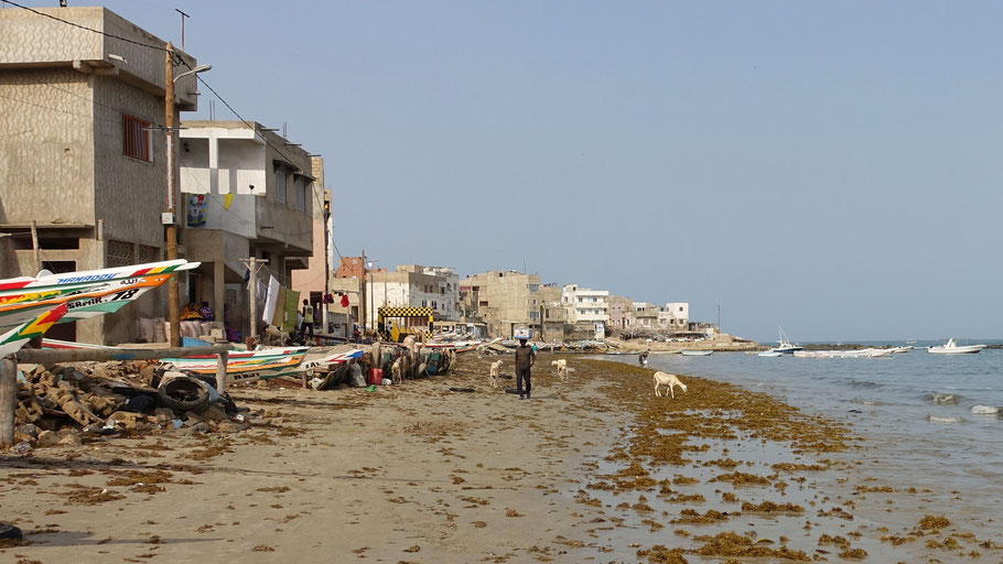 Sénégal, Dakar : plage de Ngor