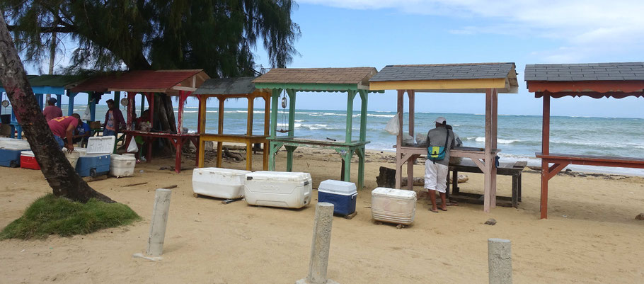 Péninsule de Samana, Marché de pêcheurs de Las Terrenas