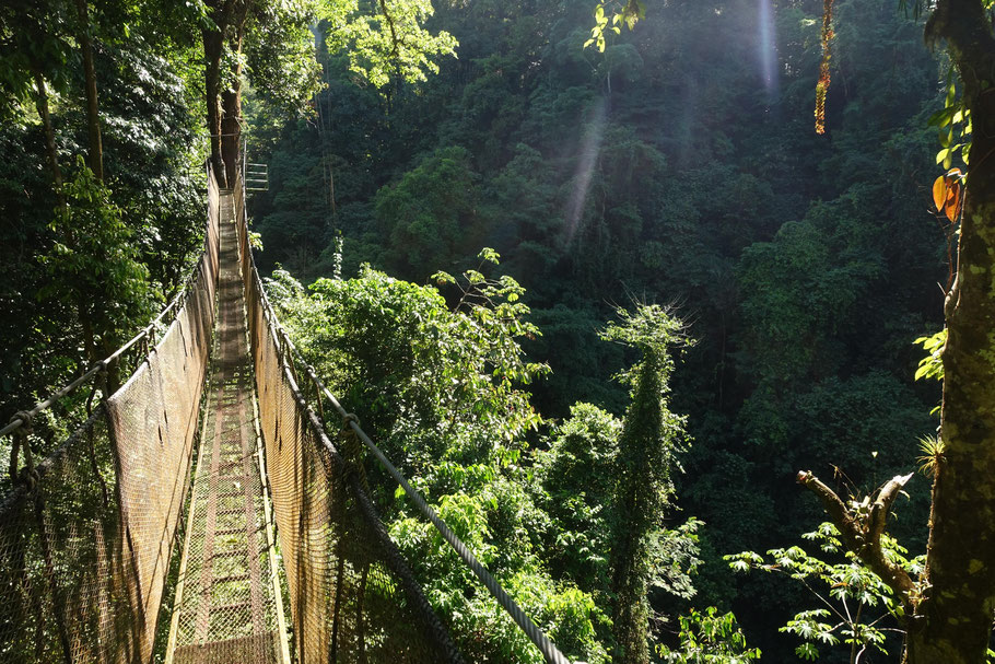 Costa Rica, ponts suspendus du parc Rainmaker : il vaut mieux ne pas avoir le vertige...