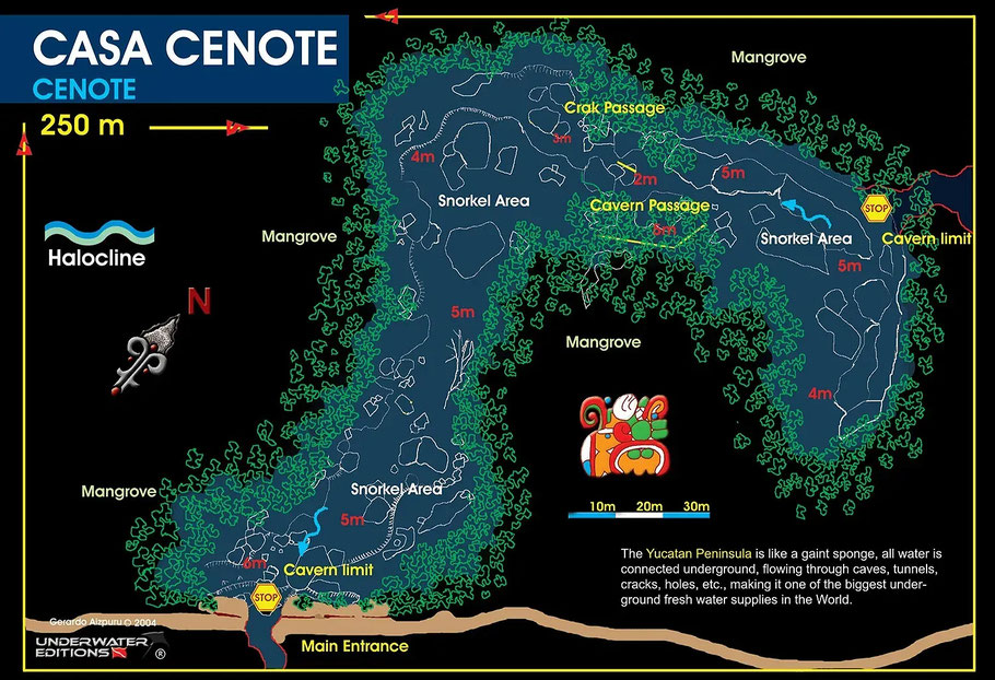 Mexique, Yucatan : plan du Casa cénote ou cénote Manati, connu pour son crocodile