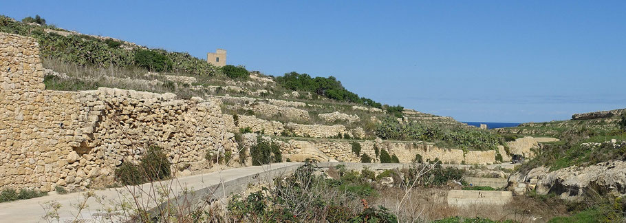 Malte : murs de pierres sèches à Gozo entre Wied il-Mielah et Gharb