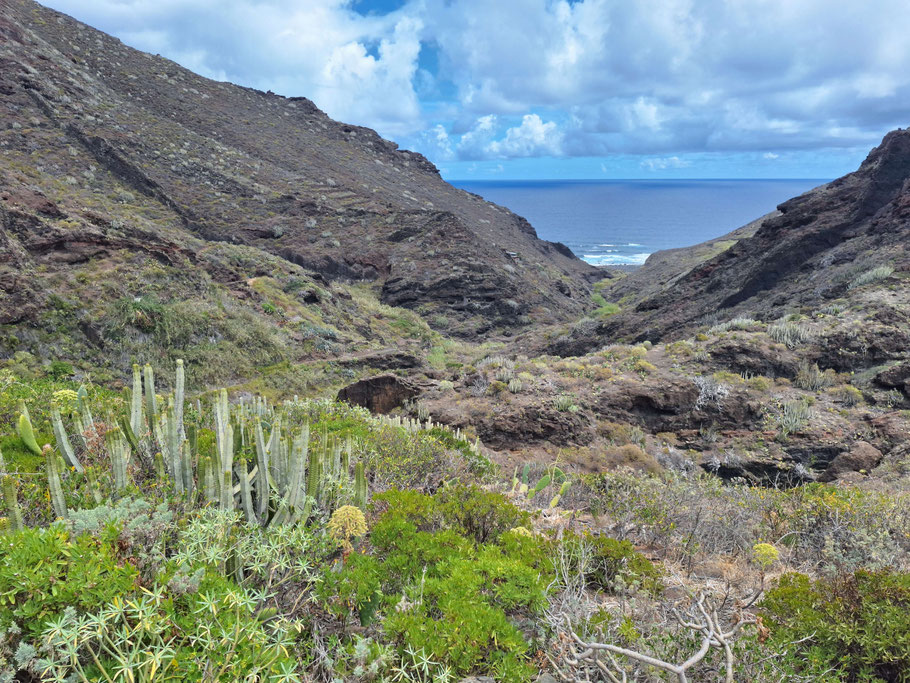 Canaries, Tenerife : descente vers la plage de Tamadiste