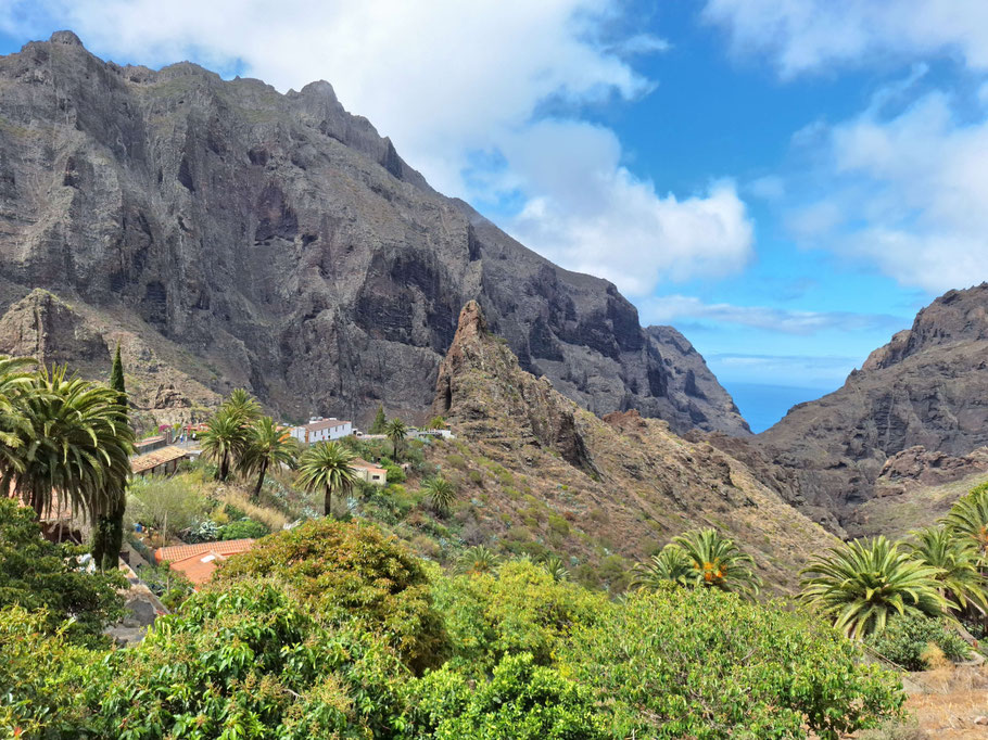 Canaries, Tenerife : Masca et le Roque Catana