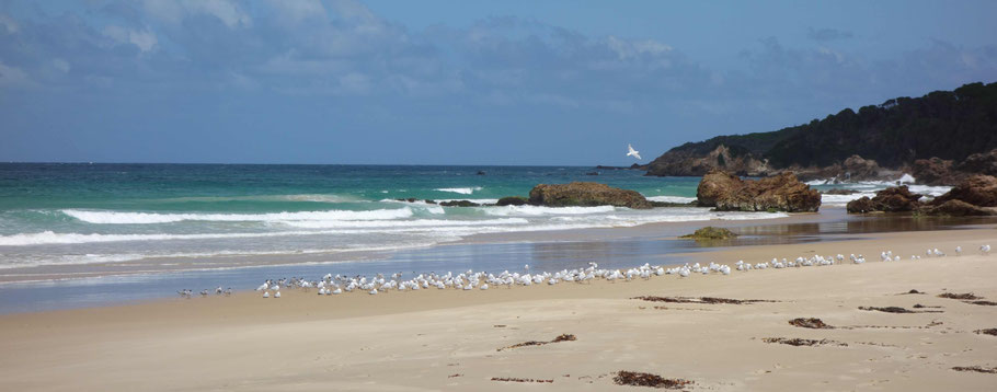 Australie, parc de Croajingolong : Betka Beach à Mallacoota