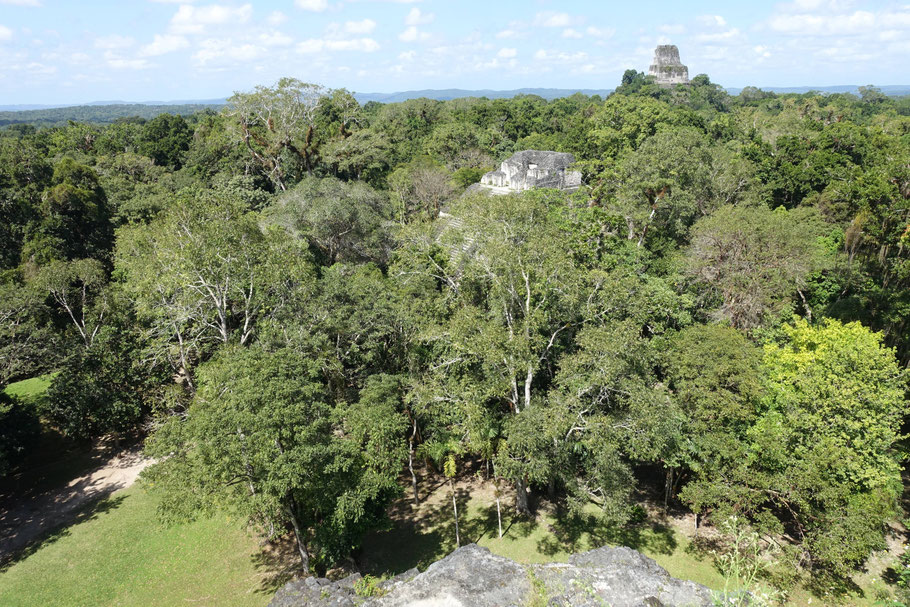 Guatemala, Tikal : vue sur la jungle et Mundo Perdido