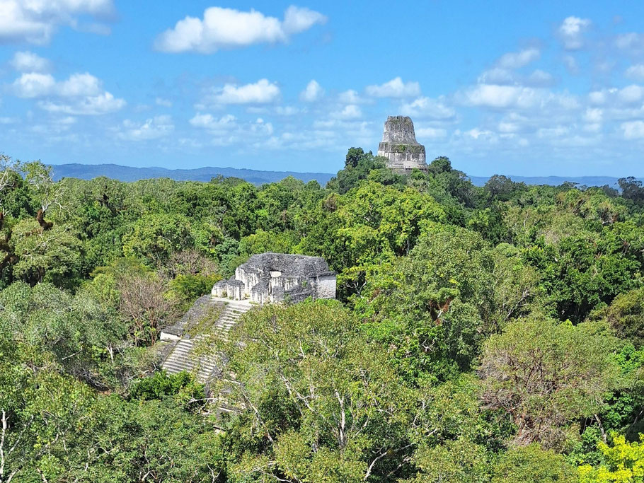 Guatemala, Tikal : Mundo Perdido